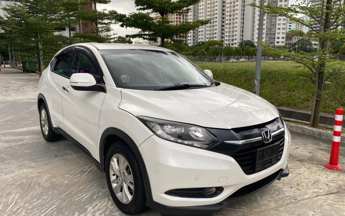 WhatsApp Image 2025-02-11 at 8.20.17 PM