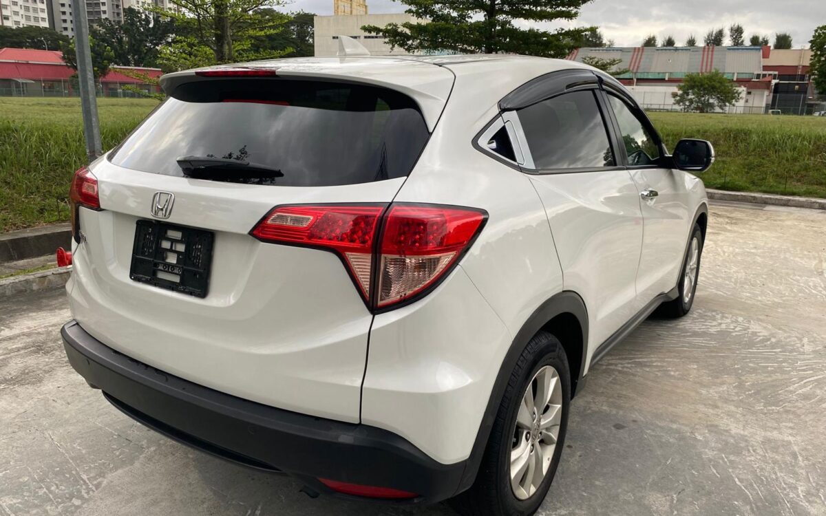 WhatsApp Image 2025-02-11 at 8.20.18 PM (1)