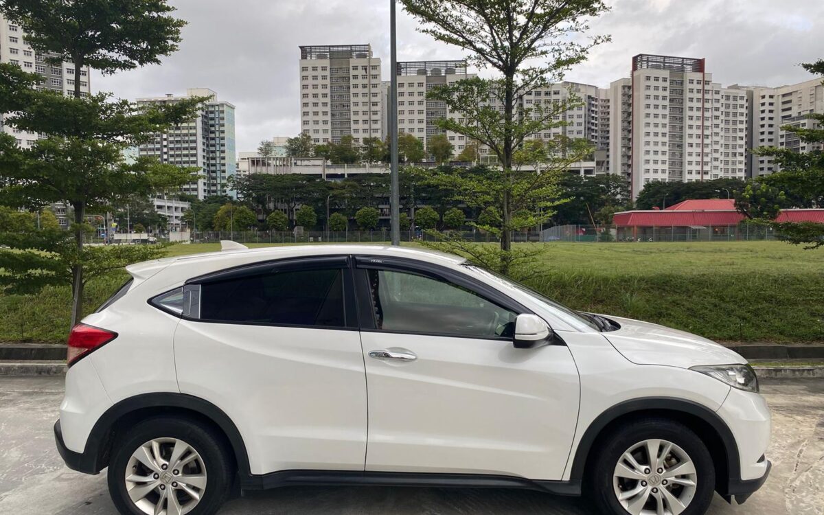 WhatsApp Image 2025-02-11 at 8.20.18 PM