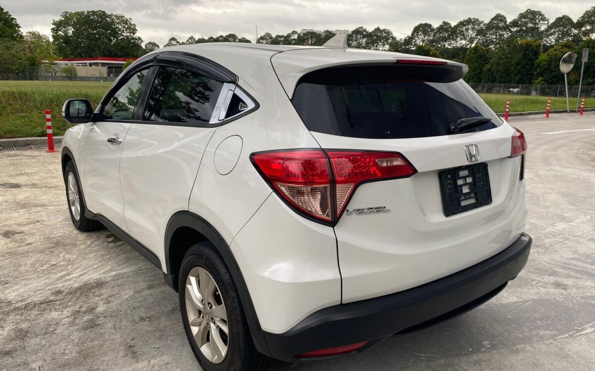 WhatsApp Image 2025-02-11 at 8.20.25 PM