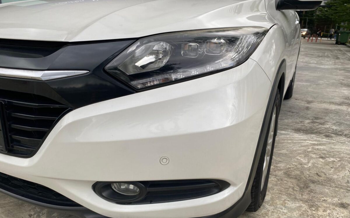 WhatsApp Image 2025-02-11 at 8.20.28 PM