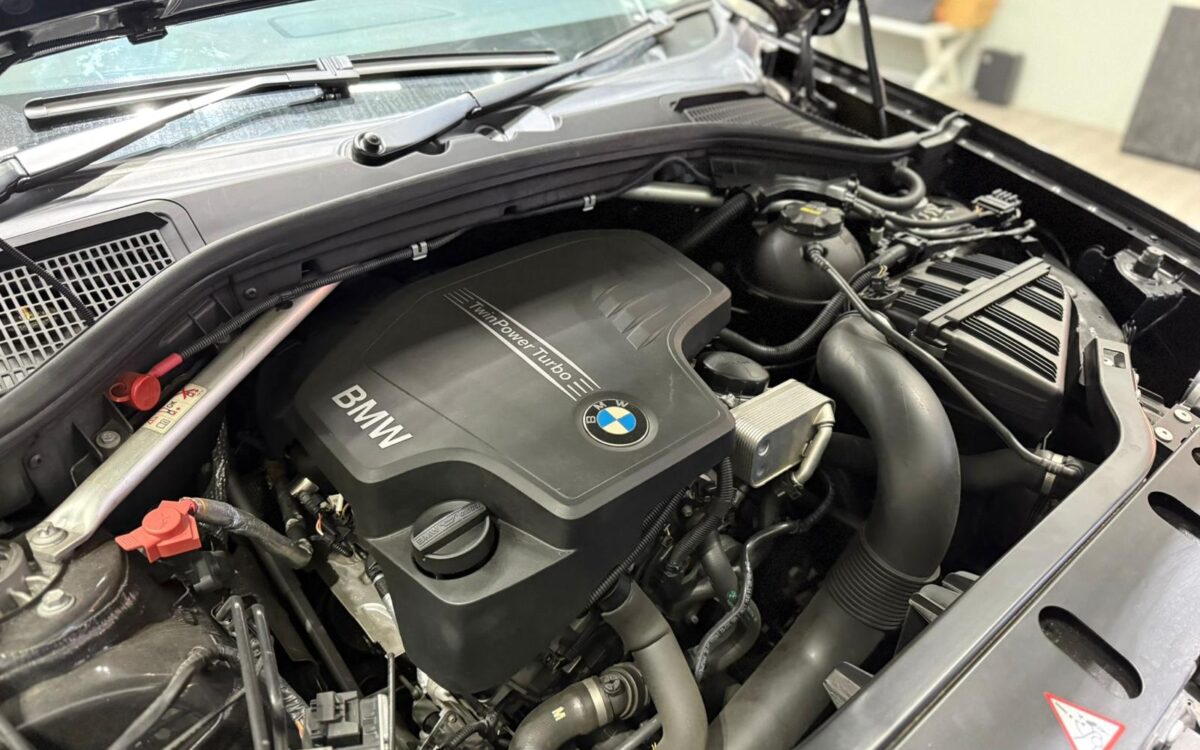 WhatsApp Image 2024-12-23 at 5.08.57 PM