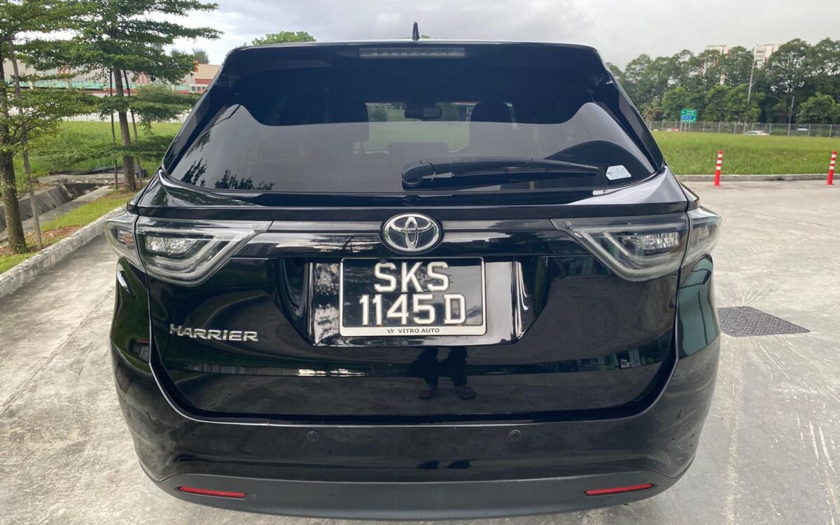 WhatsApp Image 2024-12-31 at 1.38.21 PM (1)