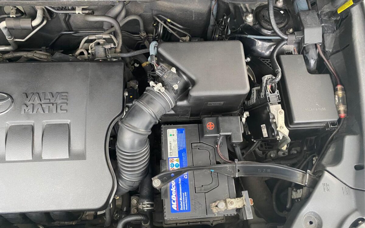 WhatsApp Image 2024-12-31 at 1.38.47 PM (1)