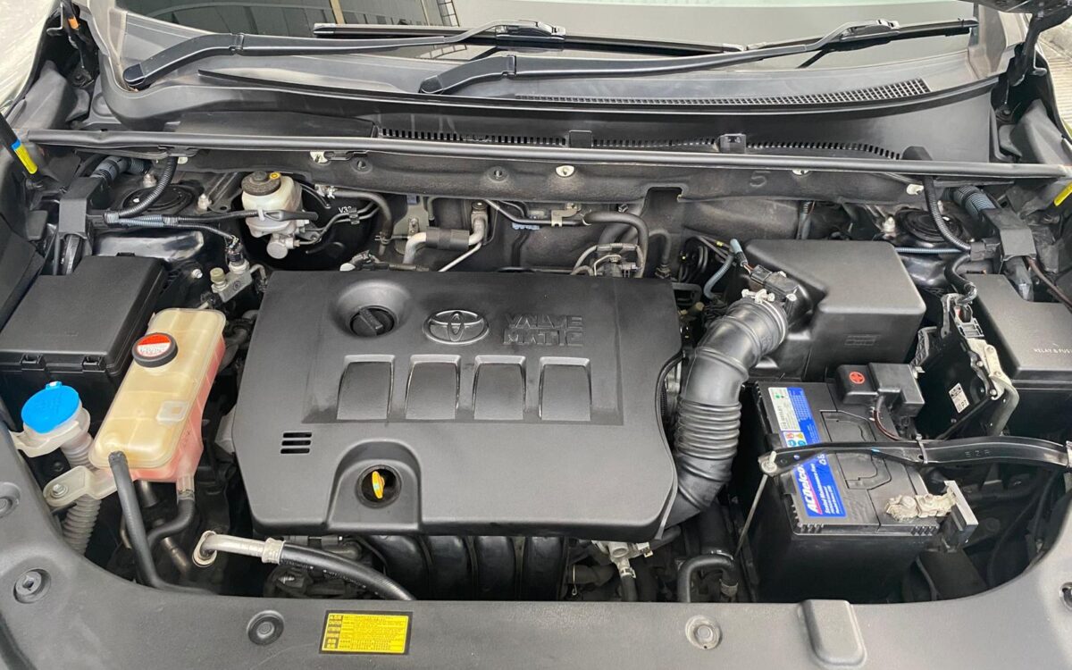 WhatsApp Image 2024-12-31 at 1.38.47 PM