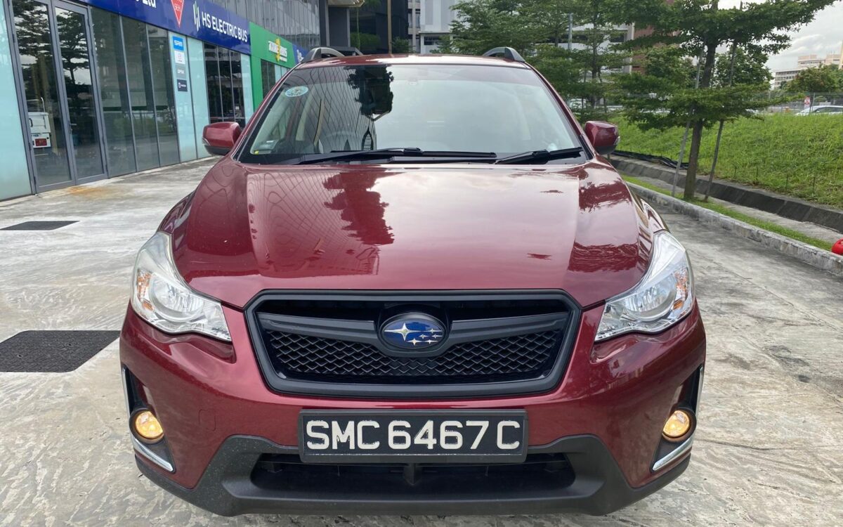 WhatsApp Image 2025-01-04 at 3.31.04 PM