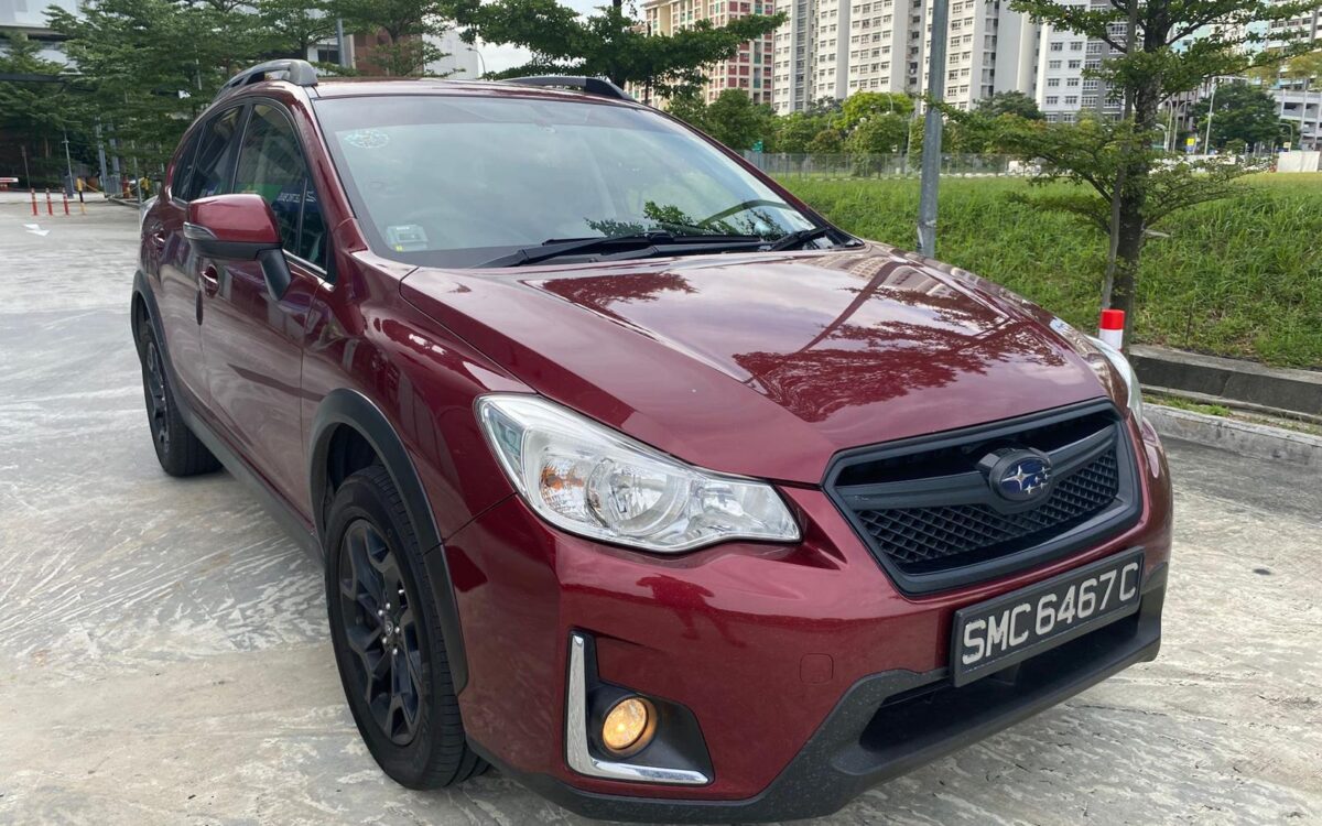 WhatsApp Image 2025-01-04 at 3.31.05 PM