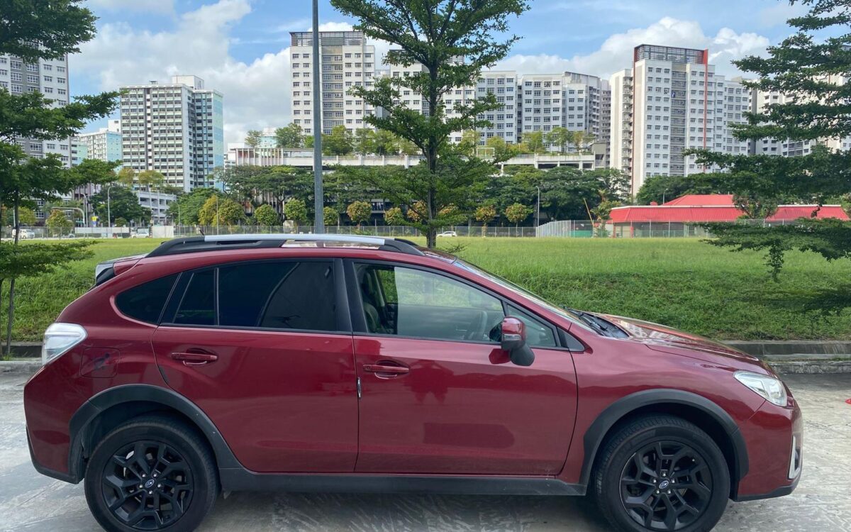 WhatsApp Image 2025-01-04 at 3.31.06 PM