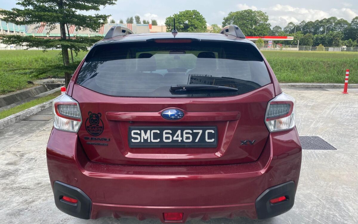 WhatsApp Image 2025-01-04 at 3.31.06 PM (2)