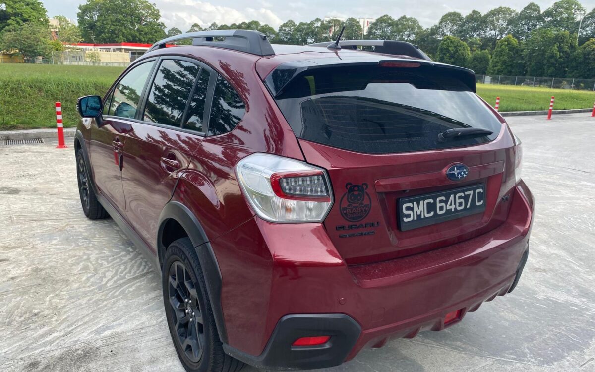 WhatsApp Image 2025-01-04 at 3.31.07 PM