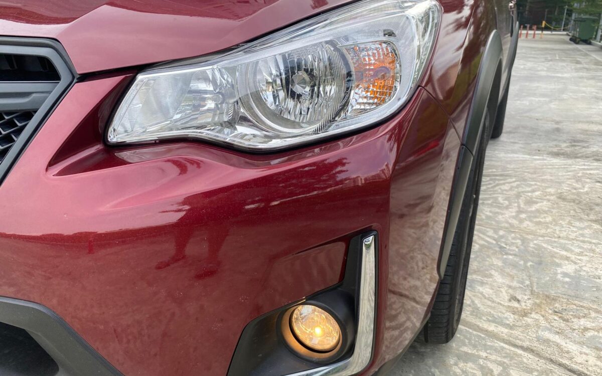 WhatsApp Image 2025-01-04 at 3.31.07 PM (3)