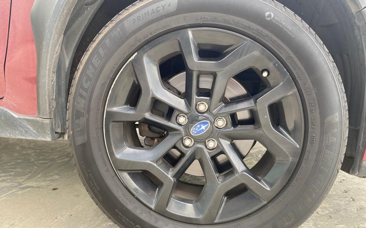 WhatsApp Image 2025-01-04 at 3.31.11 PM