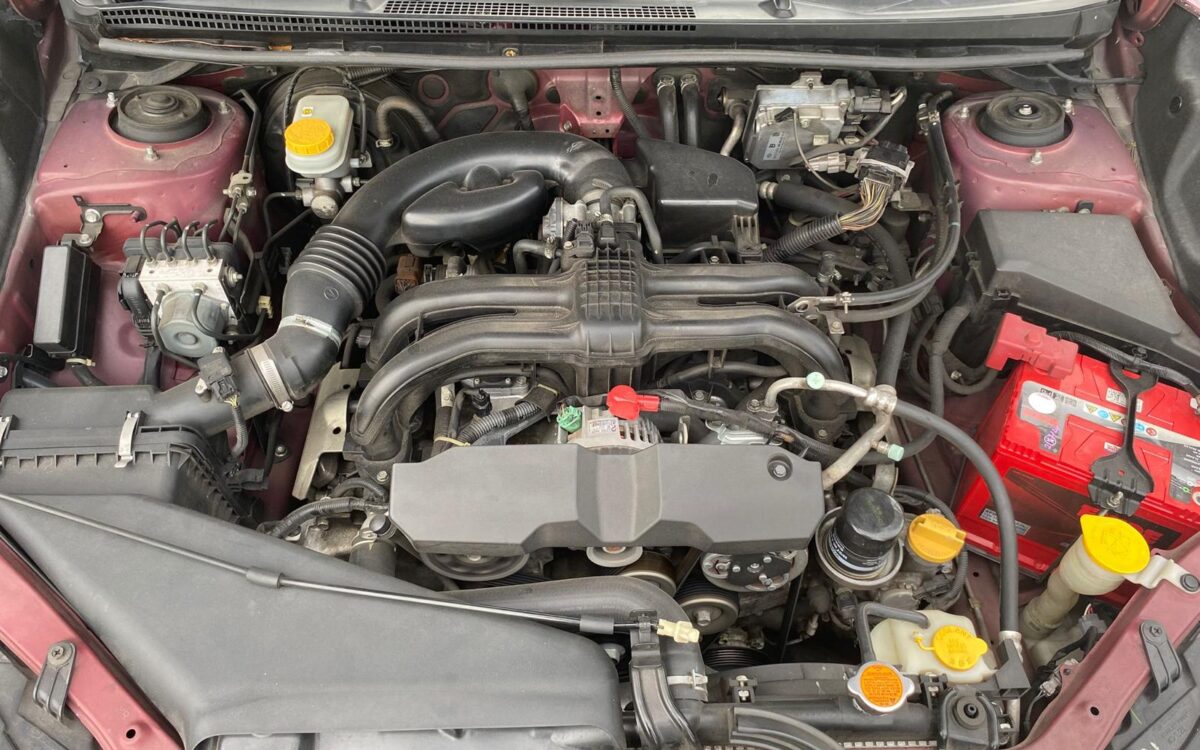 WhatsApp Image 2025-01-04 at 3.31.35 PM (2)