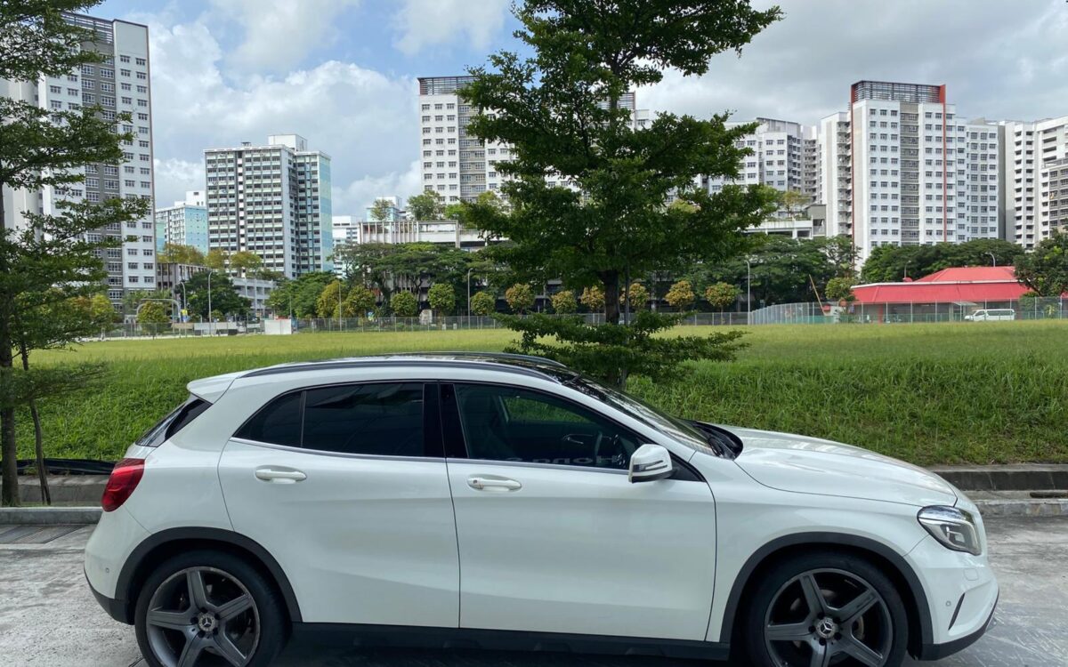 WhatsApp Image 2025-01-06 at 11.04.47 PM (1)