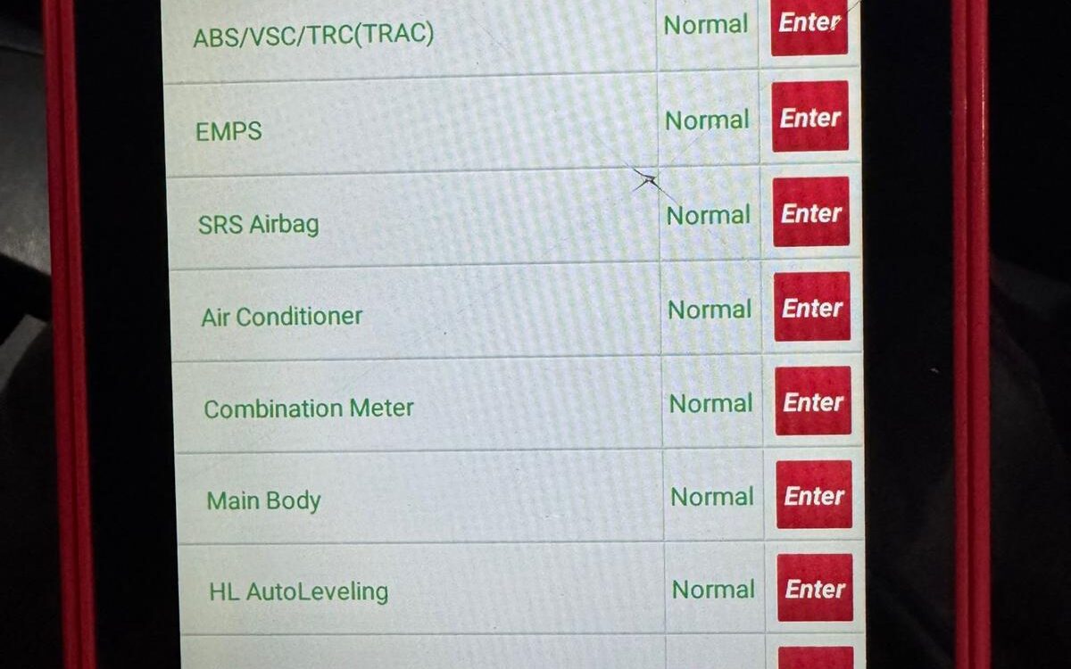 WhatsApp Image 2025-01-08 at 2.08.15 PM (3)