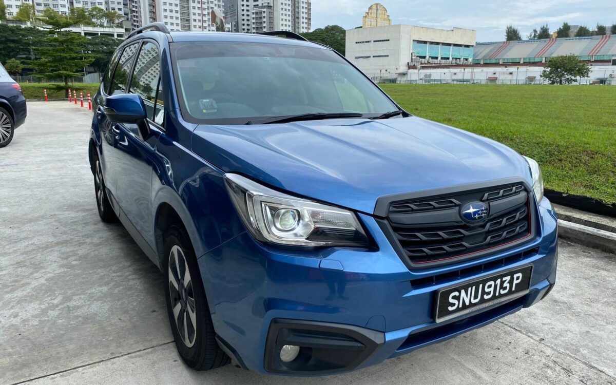 WhatsApp Image 2025-01-13 at 1.59.36 PM (1)