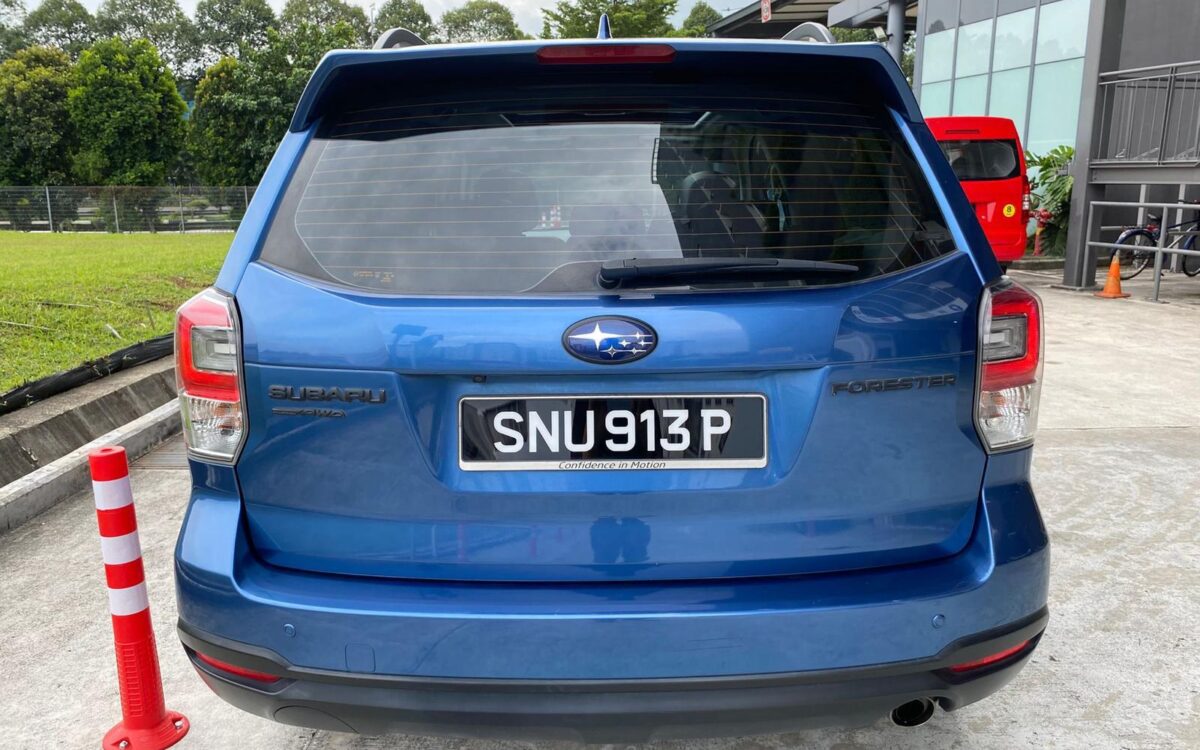 WhatsApp Image 2025-01-13 at 1.59.37 PM (1)