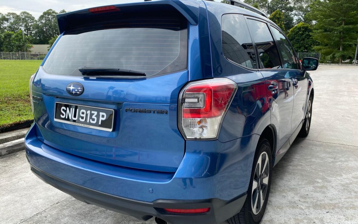 WhatsApp Image 2025-01-13 at 1.59.37 PM