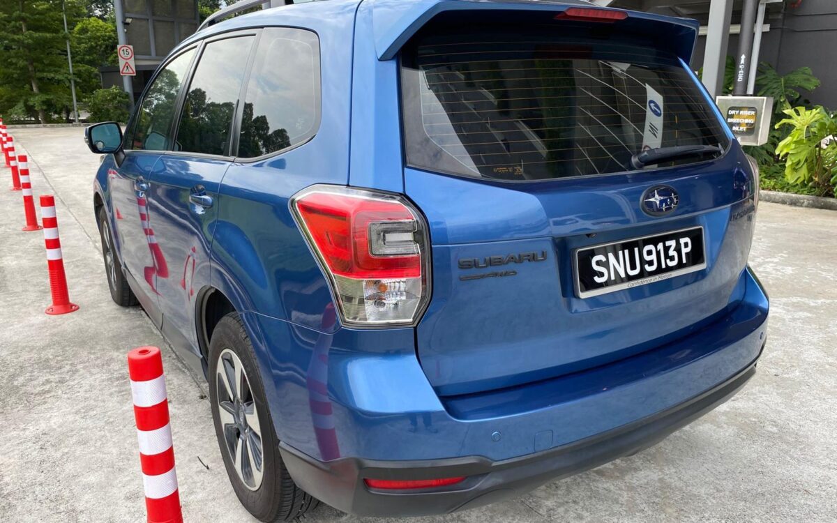 WhatsApp Image 2025-01-13 at 1.59.38 PM