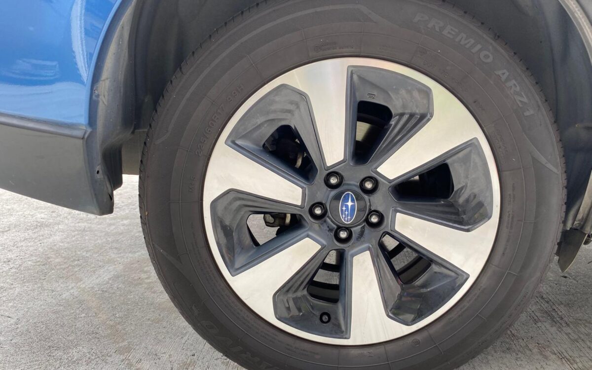 WhatsApp Image 2025-01-13 at 1.59.43 PM (1)