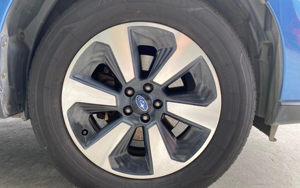 WhatsApp Image 2025-01-13 at 1.59.43 PM