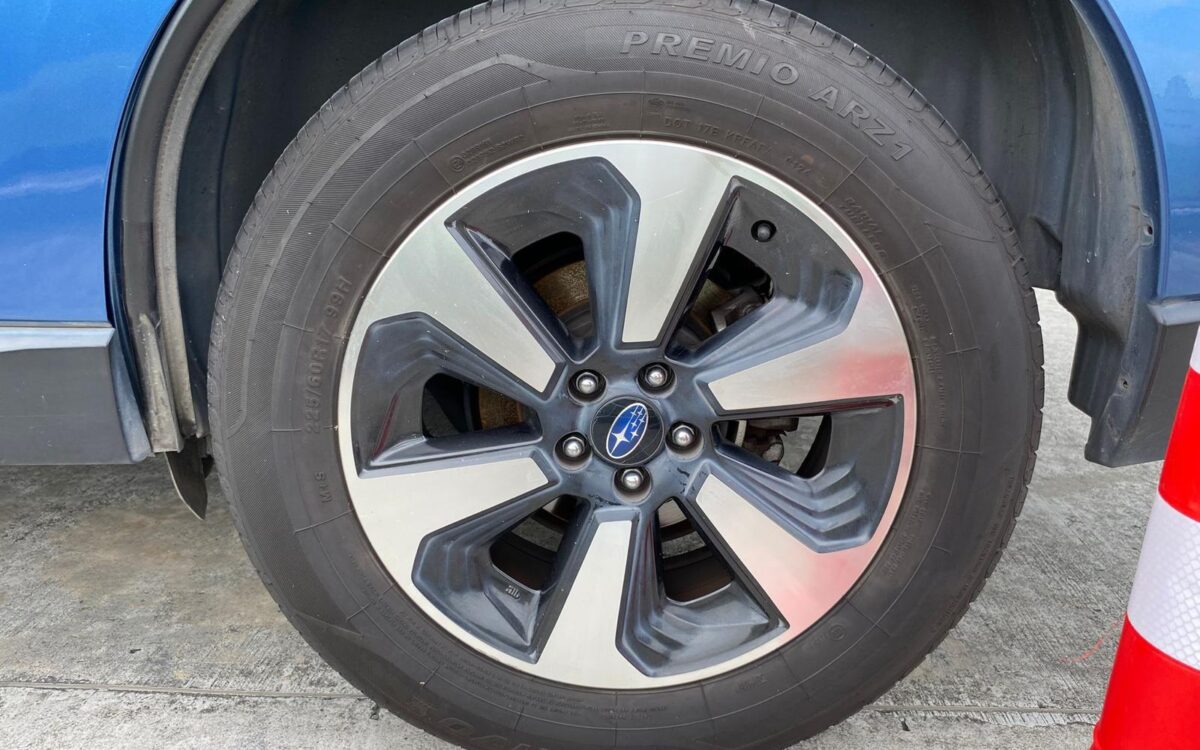 WhatsApp Image 2025-01-13 at 1.59.44 PM