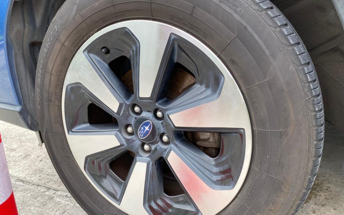 WhatsApp Image 2025-01-13 at 1.59.45 PM