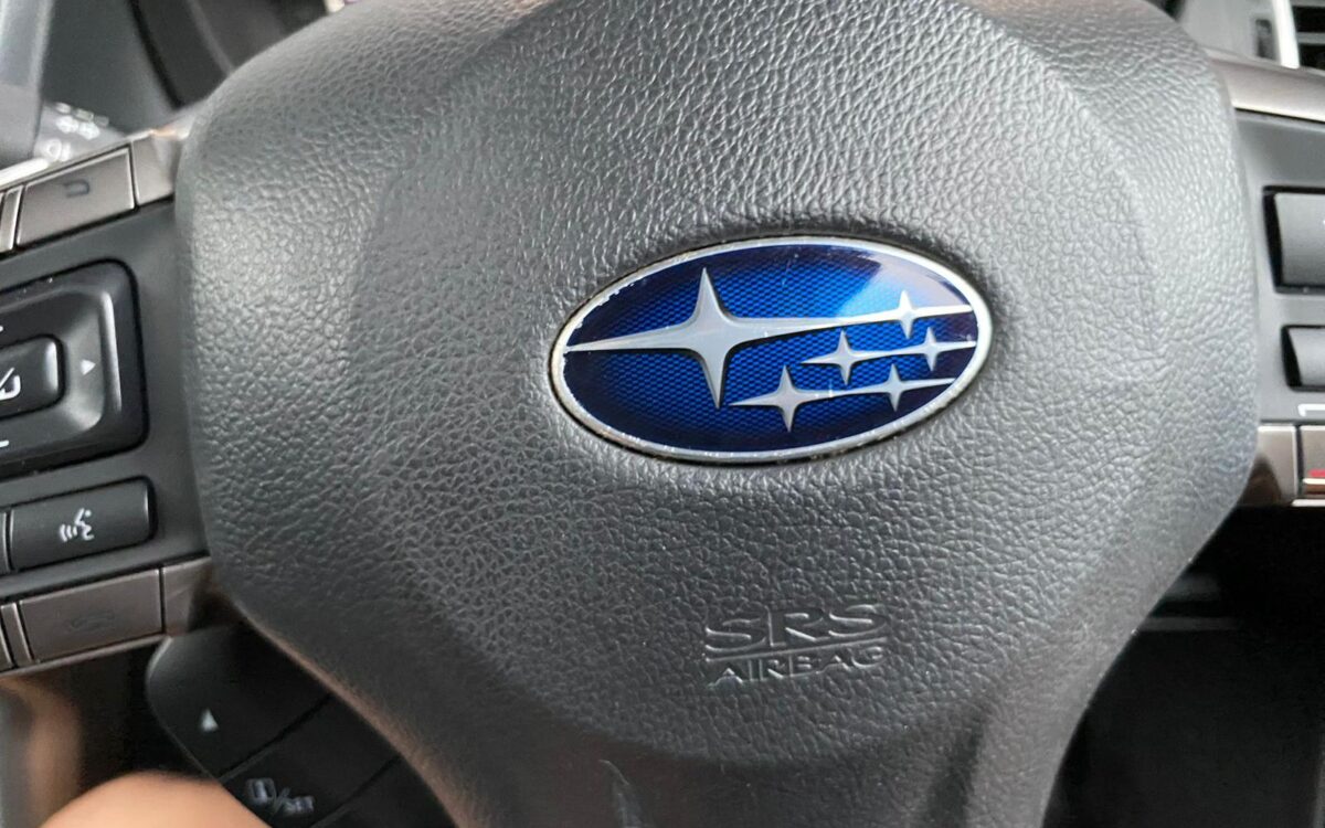 WhatsApp Image 2025-01-13 at 5.27.55 PM (1)