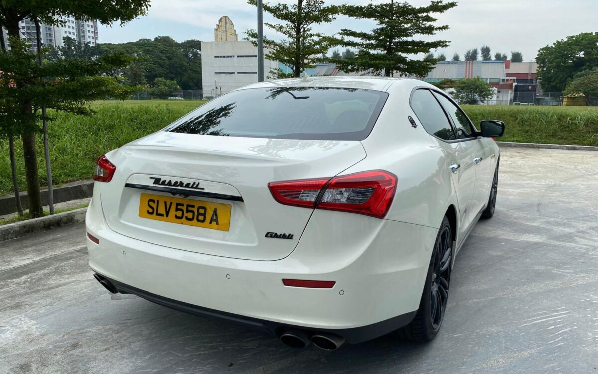 WhatsApp Image 2025-01-16 at 7.20.37 PM (1)