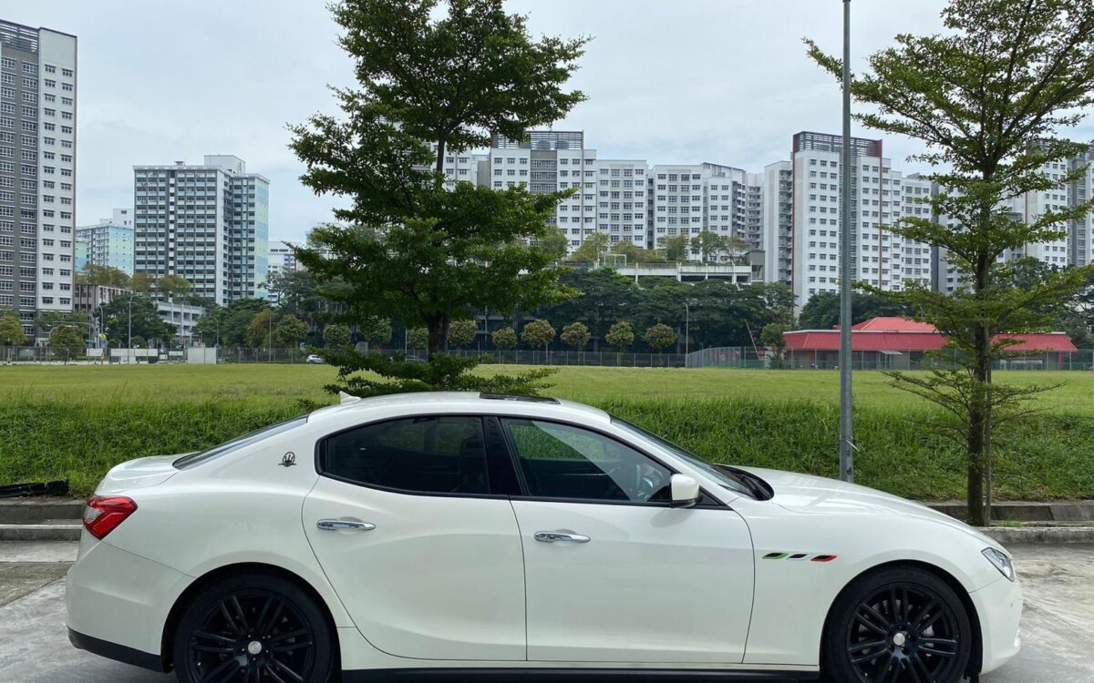 WhatsApp Image 2025-01-16 at 7.20.37 PM