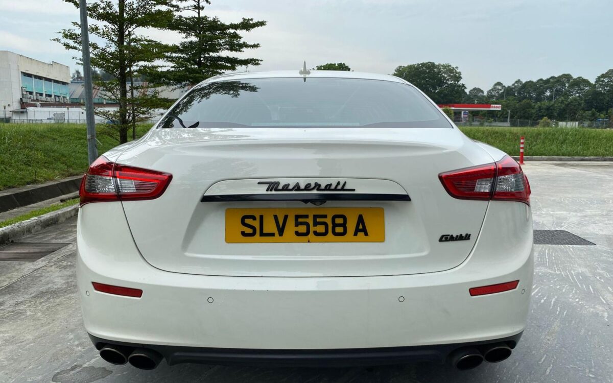 WhatsApp Image 2025-01-16 at 7.20.37 PM (2)