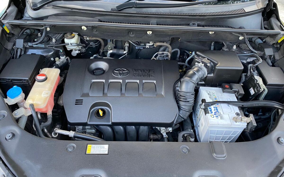 WhatsApp Image 2025-01-16 at 7.36.02 PM (1)