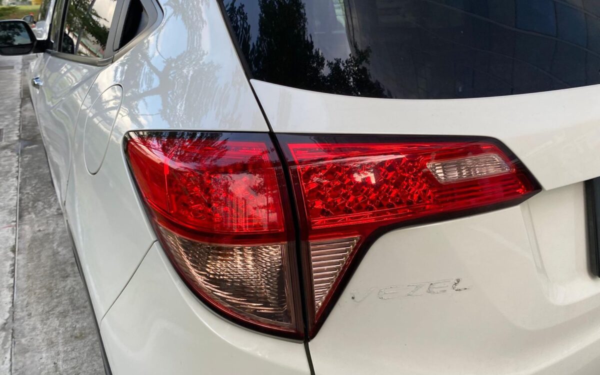 WhatsApp Image 2025-01-16 at 7.49.43 PM (2)