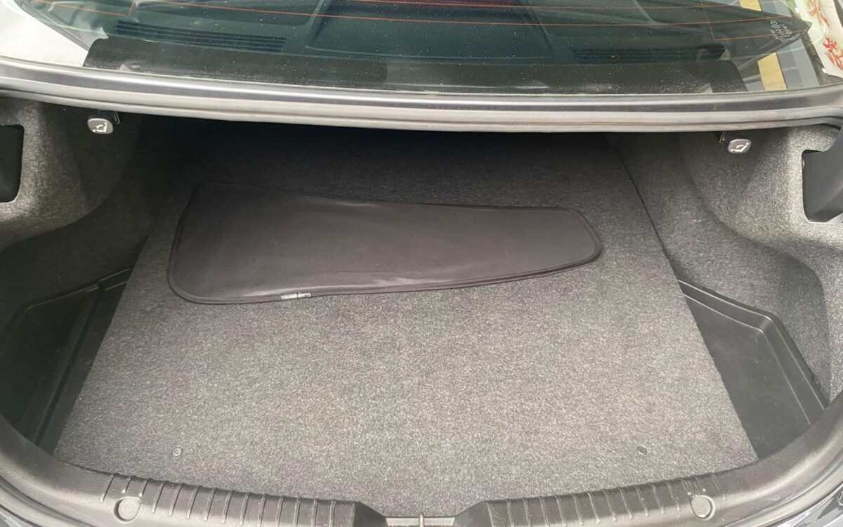 WhatsApp Image 2025-01-28 at 3.31.51 PM