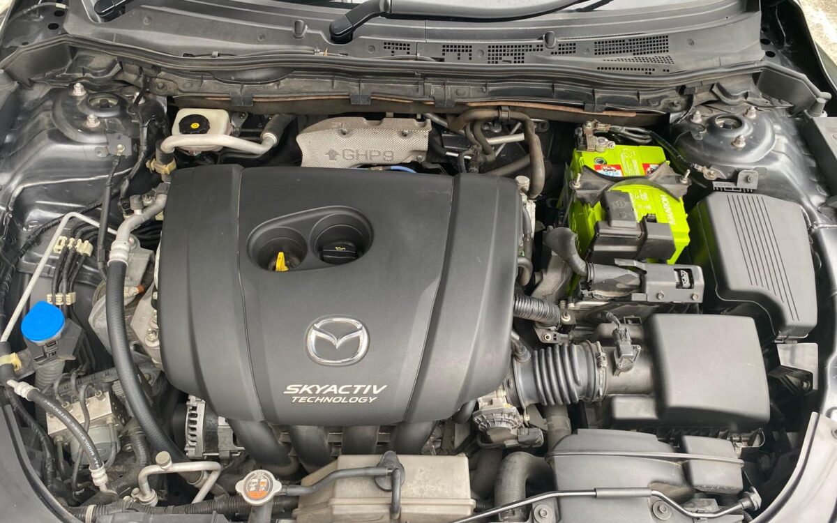 WhatsApp Image 2025-01-28 at 3.33.01 PM (1)