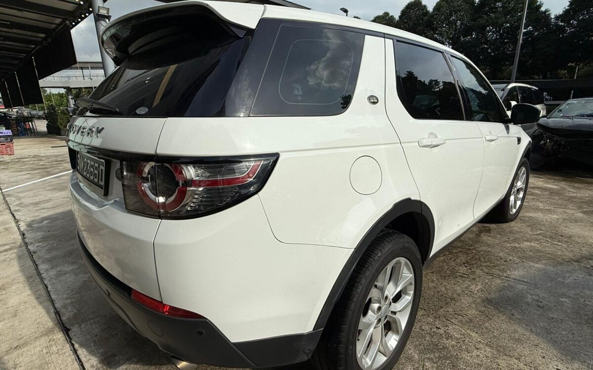 WhatsApp Image 2025-01-28 at 4.09.31 PM (1)