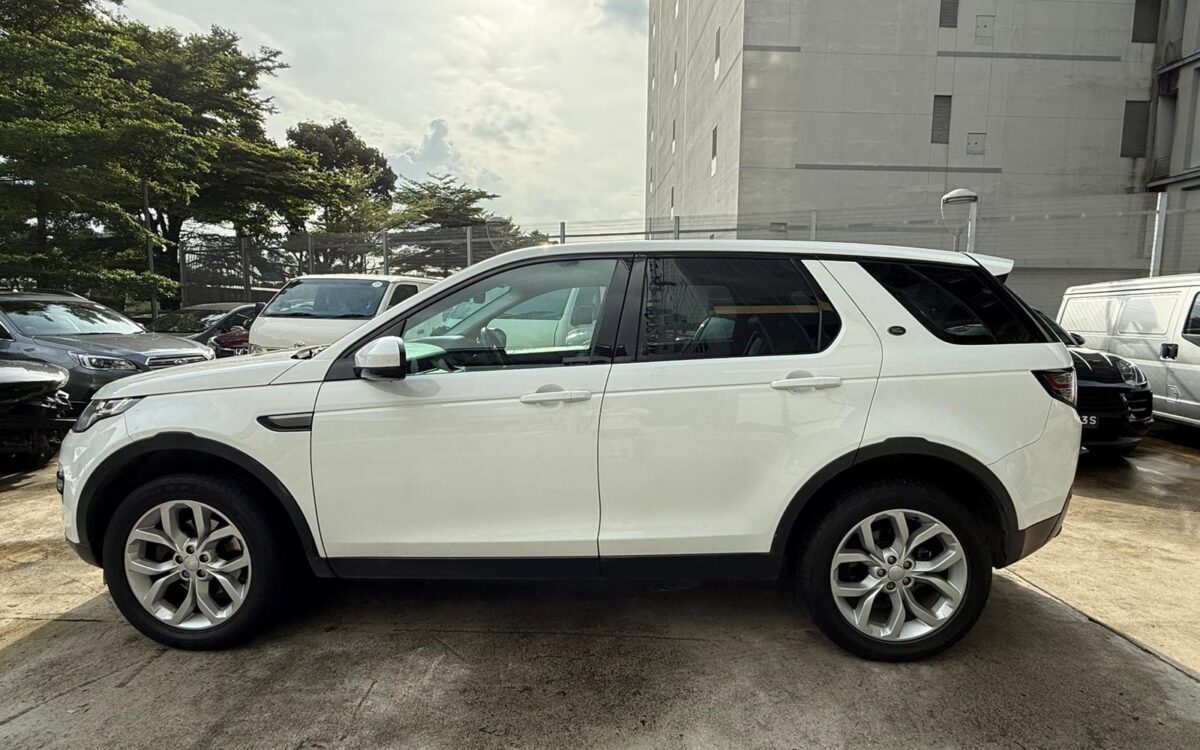 WhatsApp Image 2025-01-28 at 4.09.33 PM