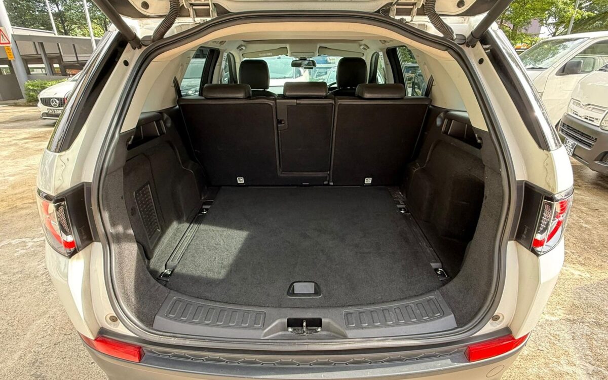 WhatsApp Image 2025-01-28 at 4.09.41 PM (2)