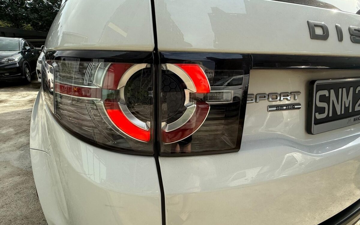 WhatsApp Image 2025-01-28 at 4.10.17 PM