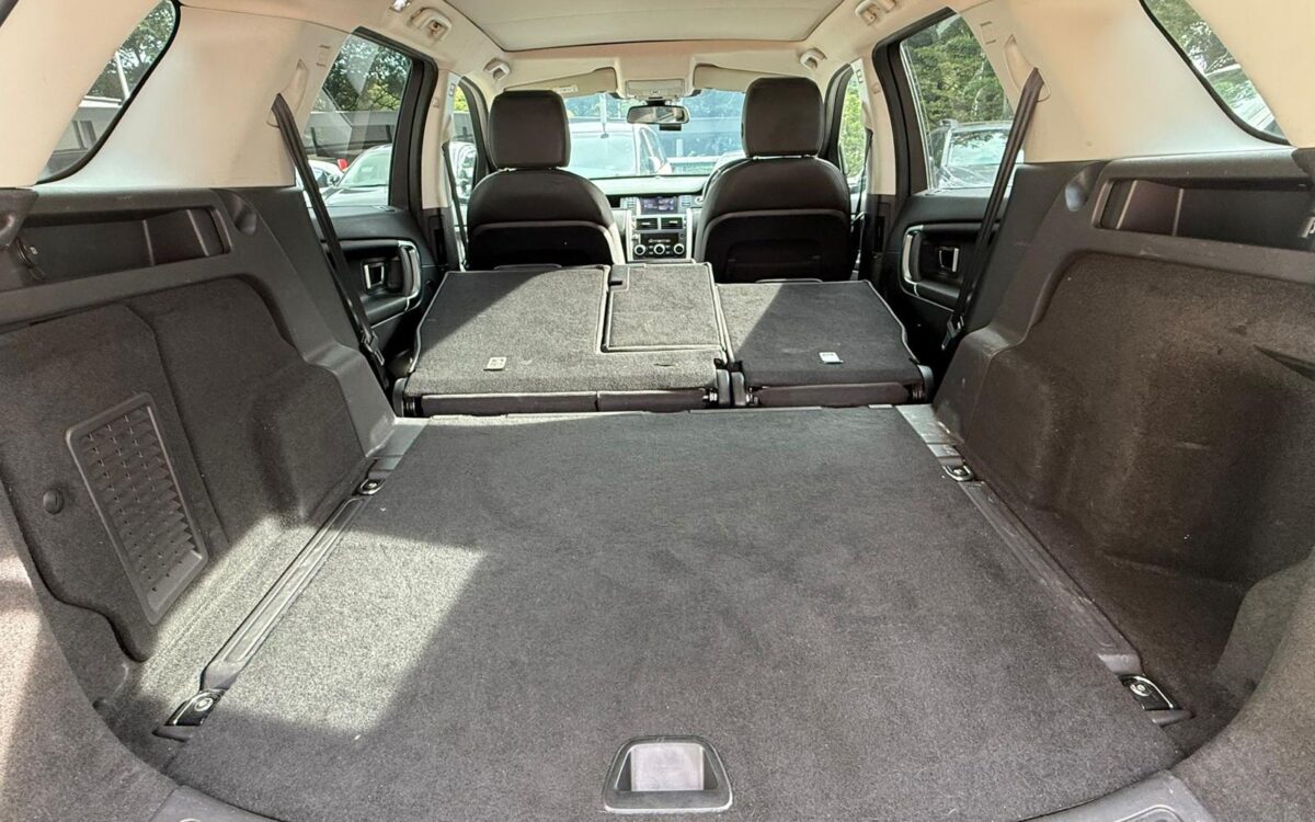 WhatsApp Image 2025-01-28 at 4.10.21 PM