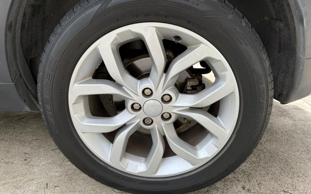 WhatsApp Image 2025-01-28 at 4.10.22 PM (1)