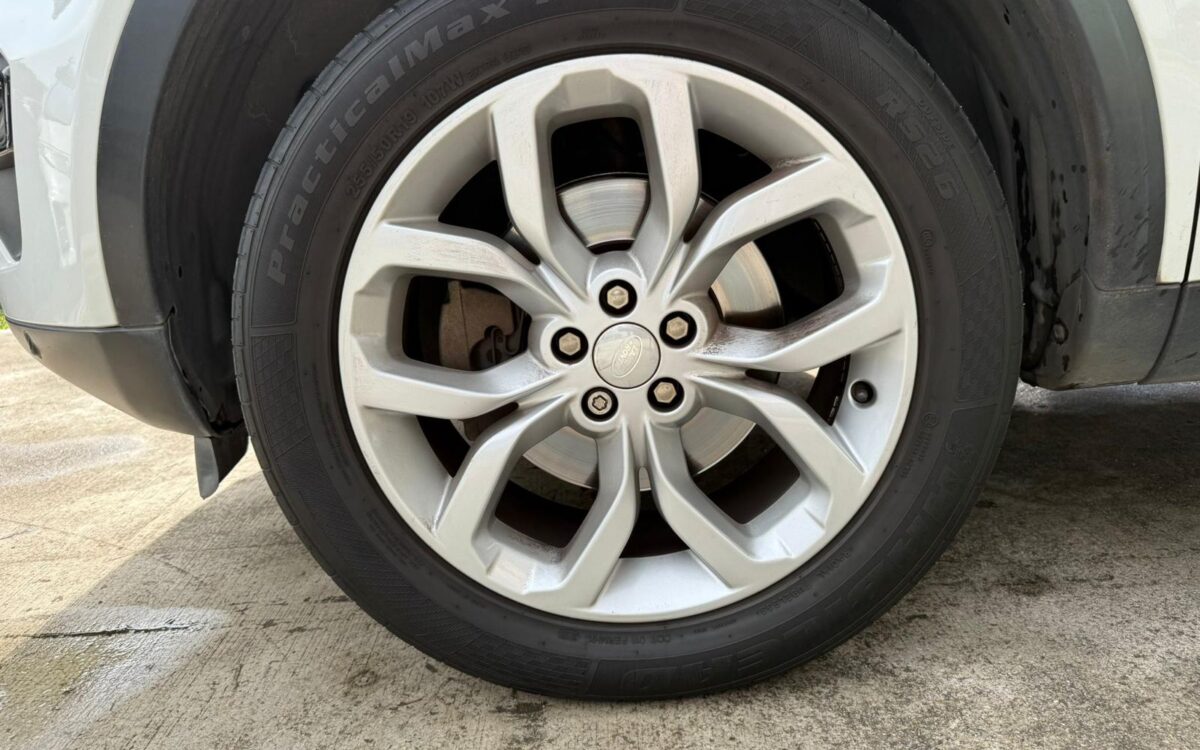 WhatsApp Image 2025-01-28 at 4.10.22 PM (2)