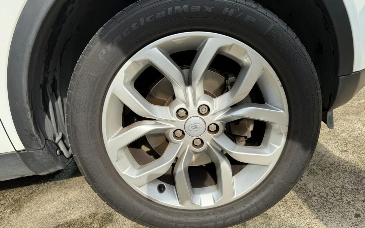 WhatsApp Image 2025-01-28 at 4.10.22 PM (3)