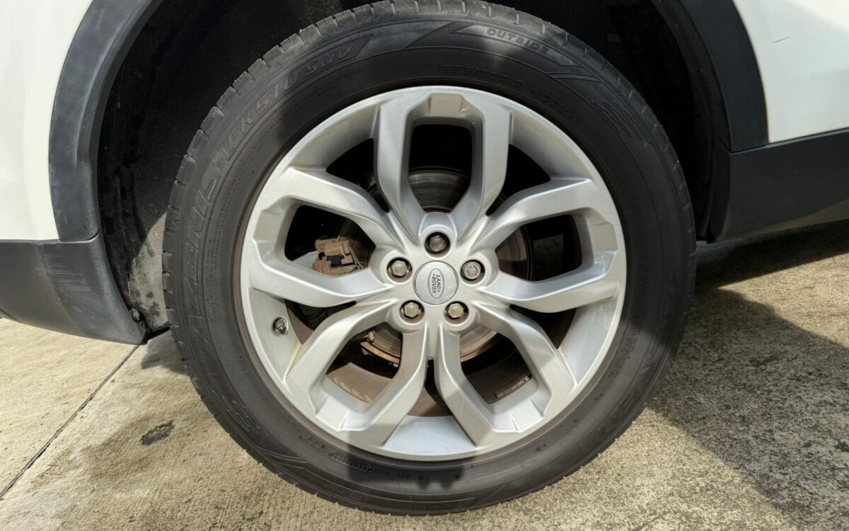 WhatsApp Image 2025-01-28 at 4.10.23 PM