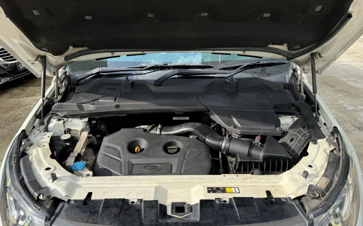 WhatsApp Image 2025-01-28 at 4.10.23 PM (3)