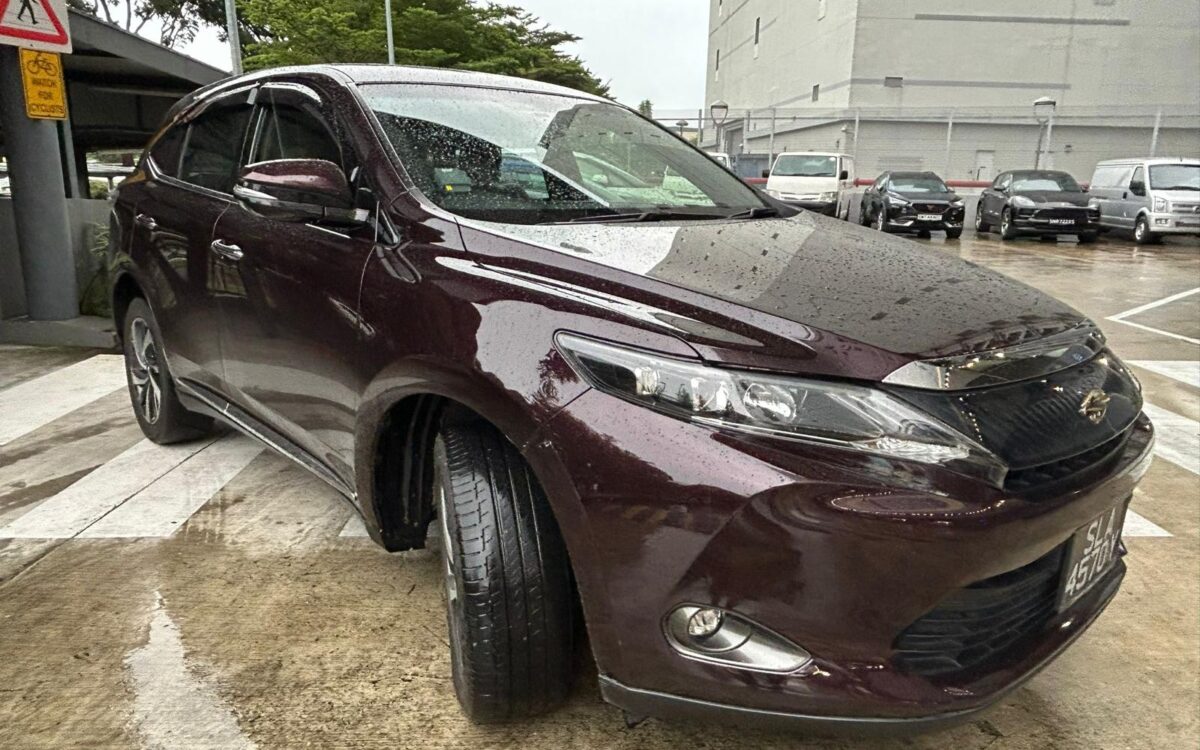 WhatsApp Image 2025-01-28 at 4.53.13 PM