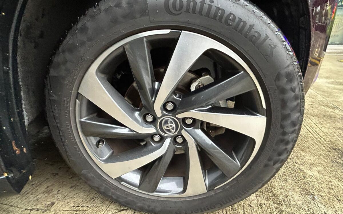 WhatsApp Image 2025-01-28 at 4.53.22 PM