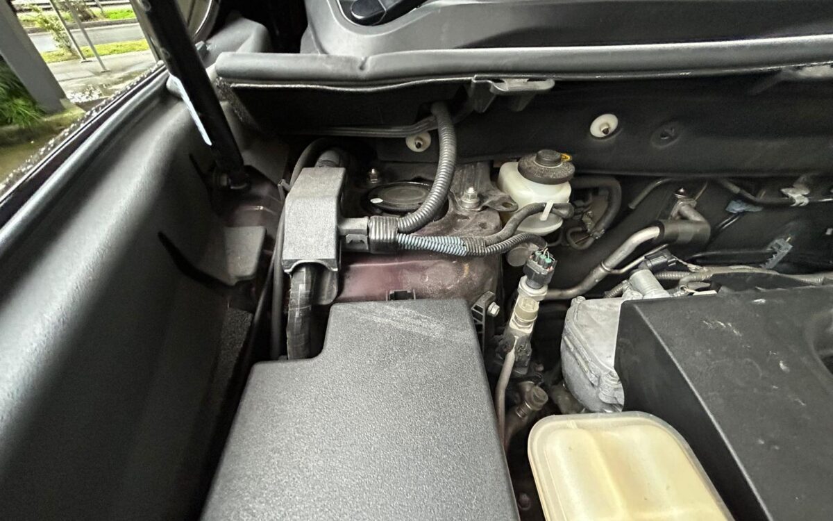 WhatsApp Image 2025-01-28 at 4.53.42 PM (1)