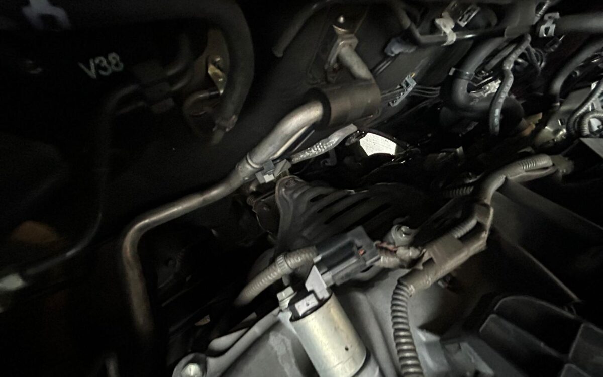 WhatsApp Image 2025-01-28 at 4.53.42 PM