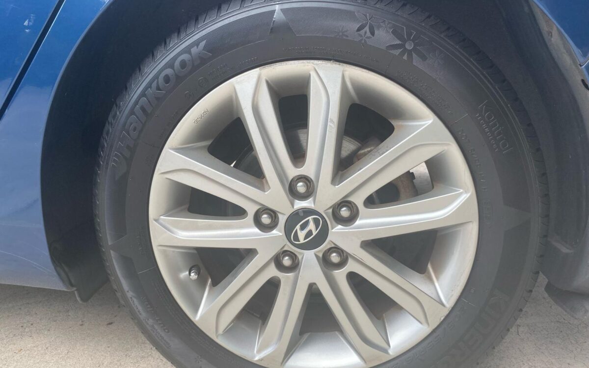 WhatsApp Image 2025-02-18 at 7.57.31 PM (2)